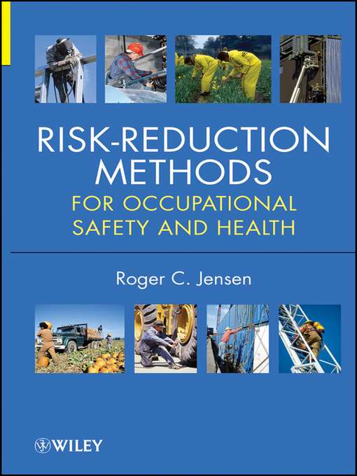 Cover image for Risk Reduction Methods for Occupational Safety and Health